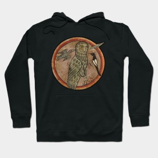 owl man Hoodie